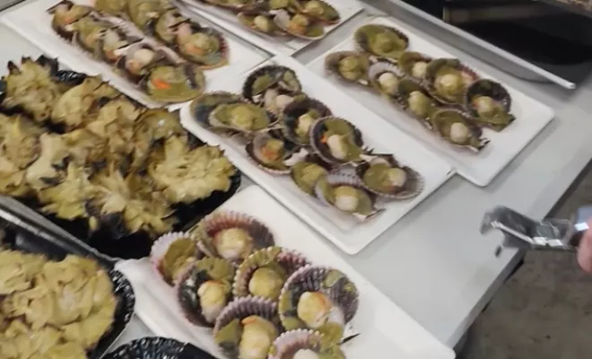 Une journée à la braise – Perpignan, Marseille, PALTA