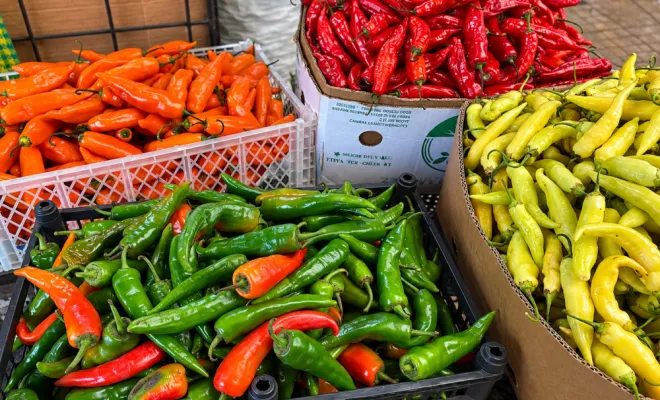 Des produits chiliens qui voyagent avec moi, Marseille, Philippe COULOT