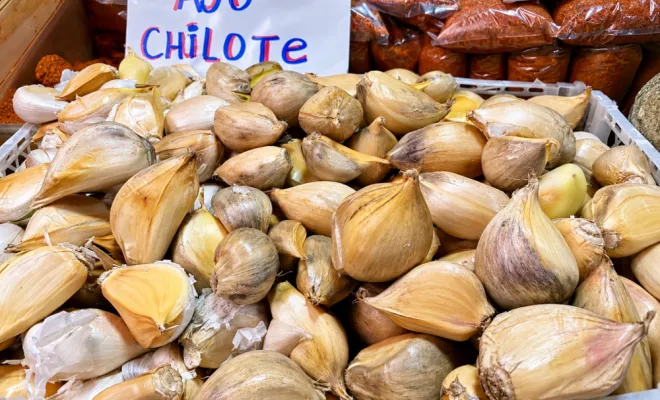 Des produits chiliens qui voyagent avec moi, Marseille, Philippe COULOT